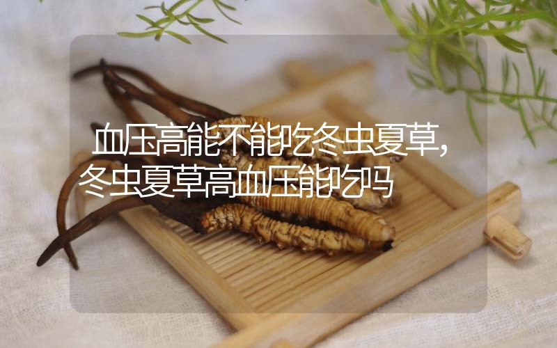 血壓高能不能吃冬蟲夏草，冬蟲夏草高血壓能吃嗎？