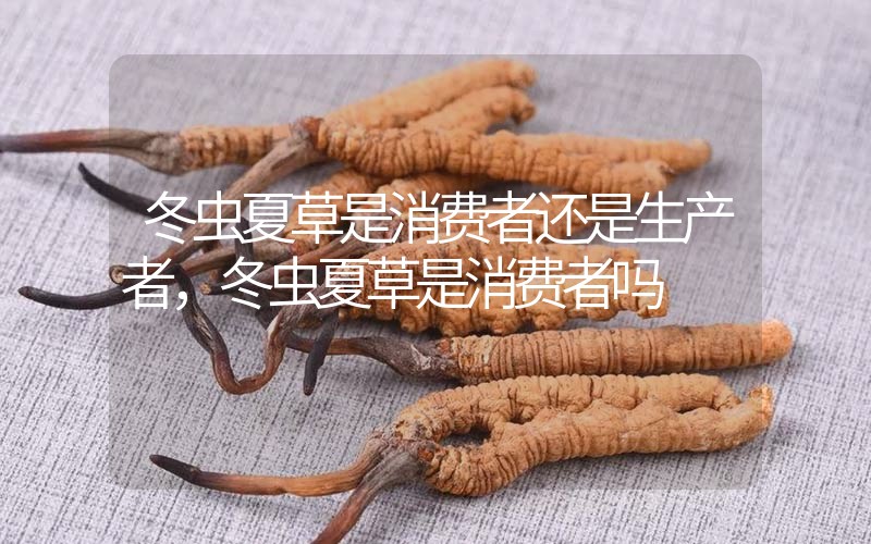 貧血吃冬蟲夏草有效果嗎，貧血虛弱者可以用冬蟲夏草嗎？