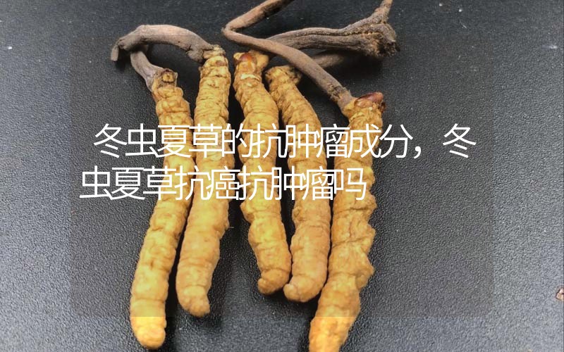 冬蟲夏草的抗腫瘤成分，冬蟲夏草抗癌抗腫瘤嗎？