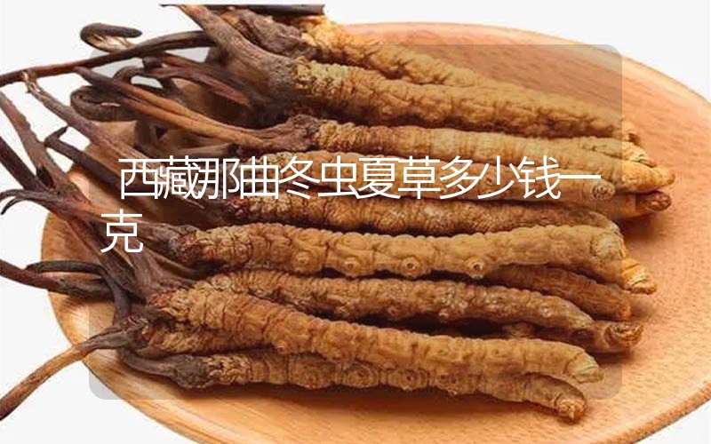 西藏那曲冬蟲夏草多少錢一克？