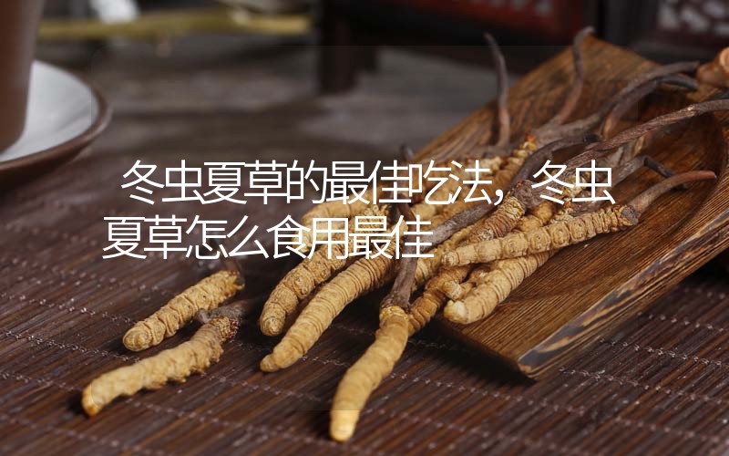 冬蟲(chóng)夏草的最佳吃法，冬蟲(chóng)夏草怎么食用最佳