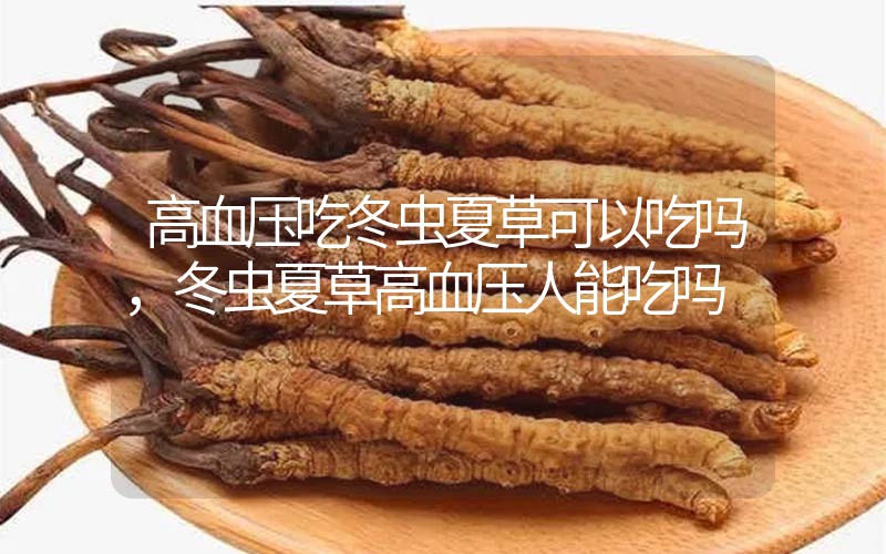 高血壓吃冬蟲夏草可以吃嗎？冬蟲夏草高血壓人能吃嗎？