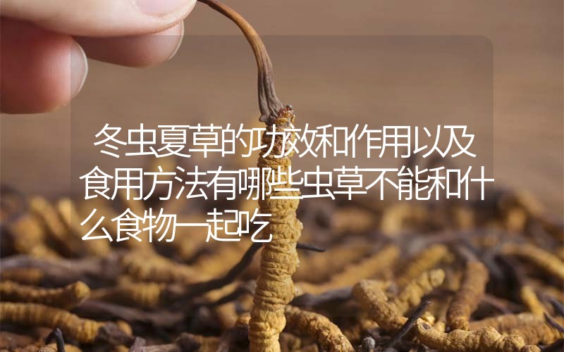 冬蟲夏草的作用和作用以及食用方法有哪些？蟲草不能和什么食物一起吃？