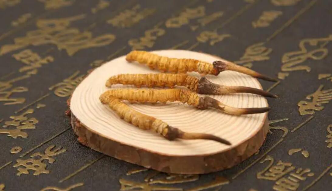 冬蟲夏草如何吃好吸收？冬蟲夏草怎樣吃才有效，