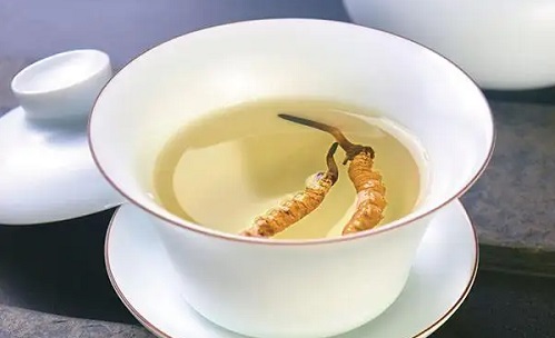 新鮮冬蟲夏草茶怎么煮，新鮮冬蟲夏草如何煮茶喝