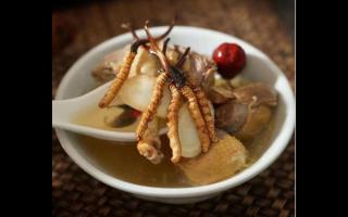 冬蟲夏草怎么煲湯？