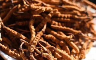 如何區(qū)分新草與舊草？