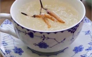 冬蟲夏草燉燕窩怎么做？