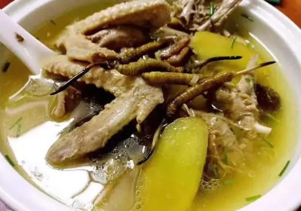 冬蟲夏草和哪些食材可以一起煲湯？