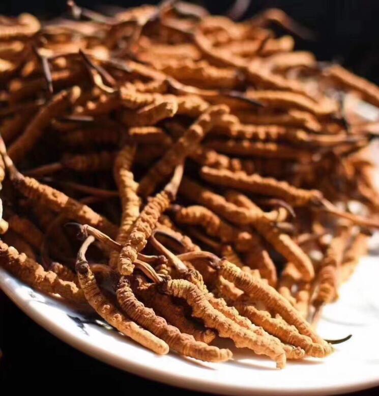 蟲草一次煮幾根最好？