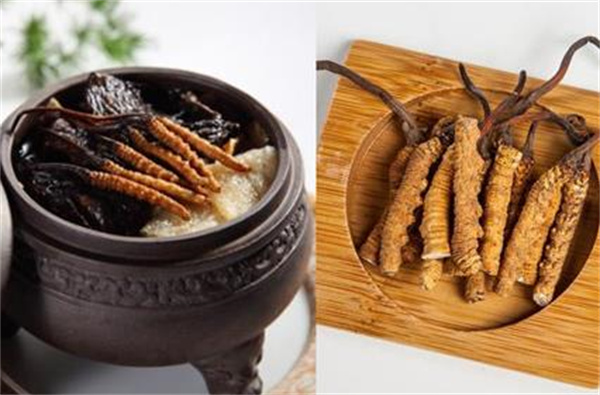冬蟲夏草和肚臍蝸牛搭配怎么吃？