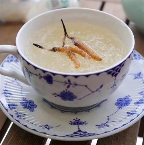 氣虛可以吃冬蟲夏草嗎？