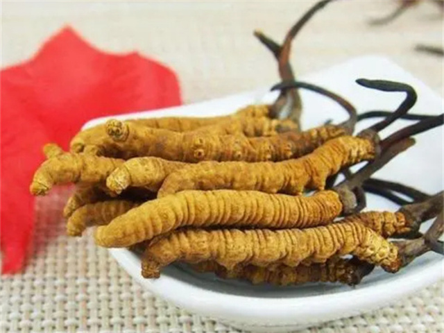 產(chǎn)后冬蟲夏草怎么吃？產(chǎn)后冬蟲夏草的3種食用方法