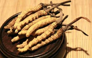 冬蟲夏草的價(jià)格一克：為何如此昂貴？