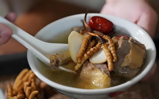 冬蟲夏草搭配有道，滋養(yǎng)肺部效果妙