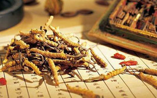 同仁堂健康冬蟲夏草：傳承品質(zhì)，饋贈(zèng)健康