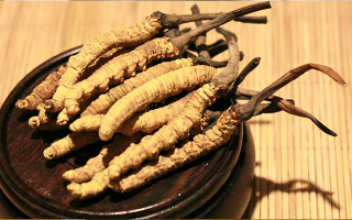 探秘西藏冬蟲(chóng)夏草最大產(chǎn)地 —— 那曲
