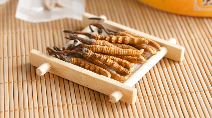 什么地方冬蟲夏草最正宗