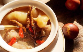 冬蟲夏草與什么泡水喝？養(yǎng)生搭配指南