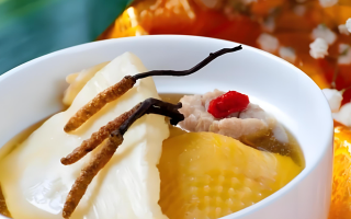冬蟲夏草每天什么時候吃最好？一文詳解最佳食用時間