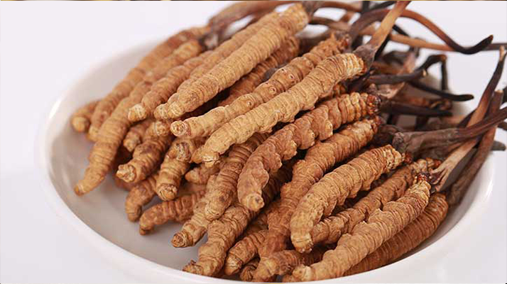 冬蟲(chóng)夏草燉水鴨，搭配這些食材更滋補(bǔ)