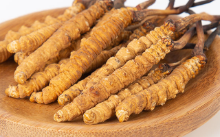 冬蟲夏草怎么驗(yàn)真假？教你幾招秒判斷真?zhèn)蚊丶?> </div>
            <div   id=