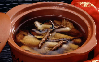 糖尿病可服用冬蟲夏草嗎？科學(xué)解析其調(diào)理價(jià)值與注意事項(xiàng)