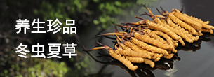 西藏那曲蟲(chóng)草網(wǎng)行業(yè)新聞